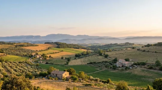 Produits sous appellation d'origine protégée et paysages agricoles français