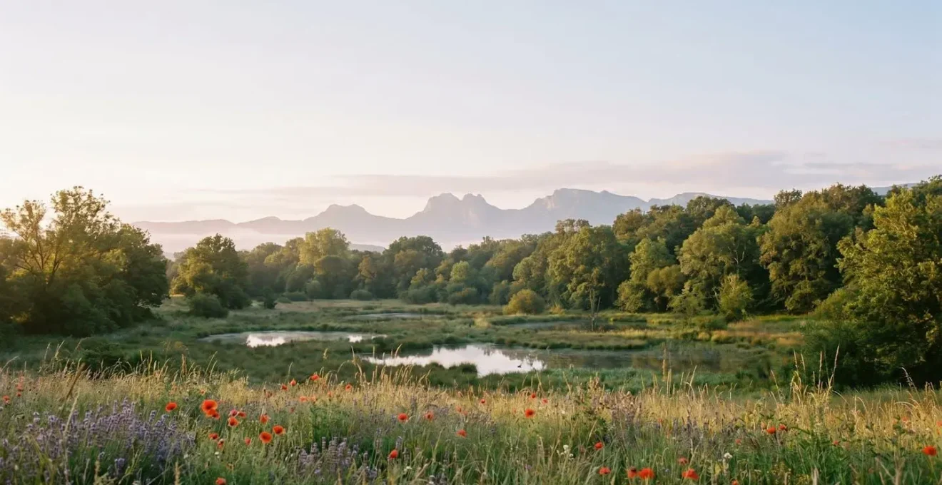 Zone naturelle protégée Natura 2000 en France montrant la biodiversité préservée