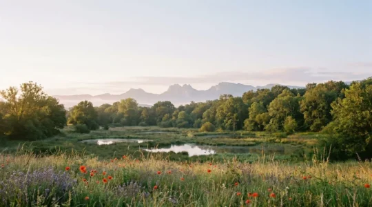 Zone naturelle protégée Natura 2000 en France montrant la biodiversité préservée
